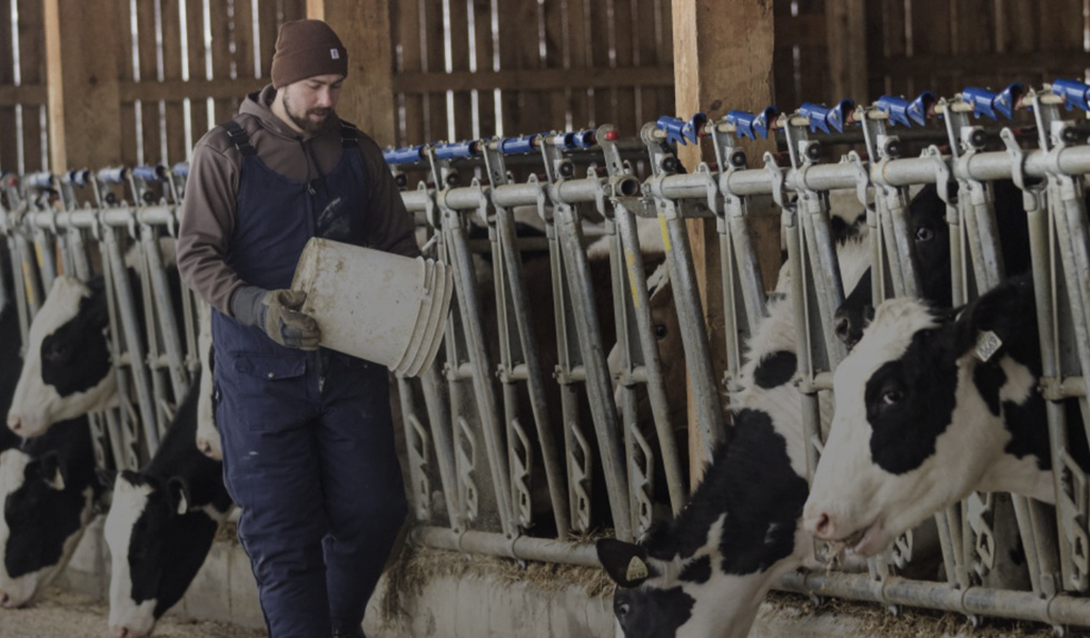 Insulated Coveralls & Overalls